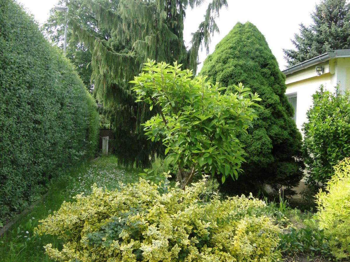 Sommerhaus Im Gruenen Берлин Екстериор снимка