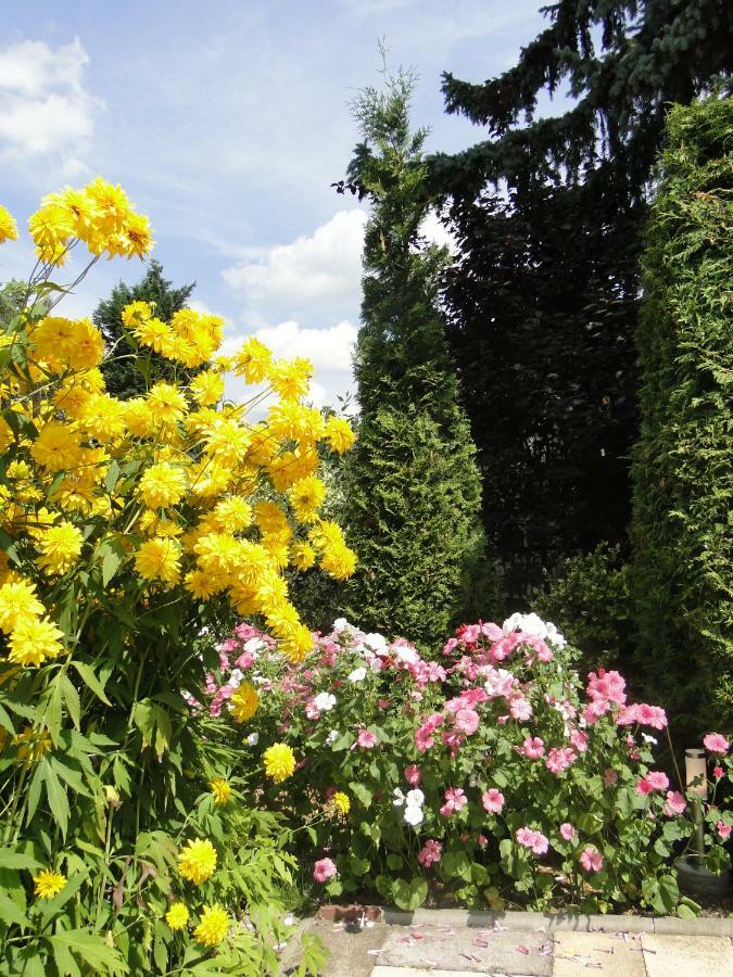 Sommerhaus Im Gruenen Берлин Екстериор снимка